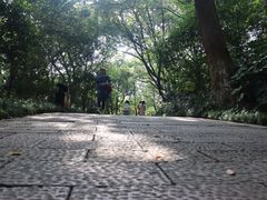 -杭州半山国家森林公园