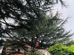 -烟台山景区