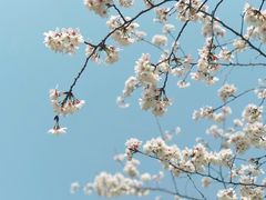 -西北湖绿化广场