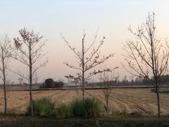 -嘉北郊野公园
