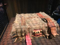 -哈利波特魔法世界