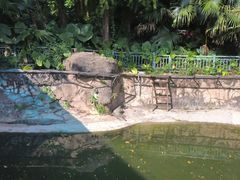 -深圳野生动物园