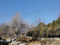 -阳台山自然风景区