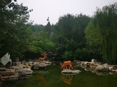 -北京周口店北京人遗址博物馆