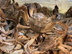 -领鲜活海鲜榴莲自助火锅(东门店)