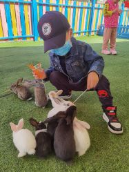 -萌宠亲子动物乐园(槐房万达店)