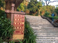 -炮台山公园
