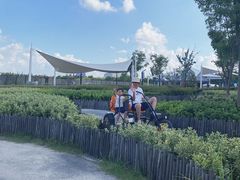 -季高兔窝窝亲子园(上海薰衣草公园店)