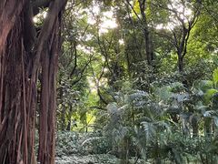 -GAONNURI加温努力(马场店)