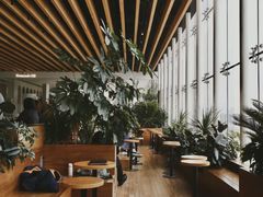 -Seesaw Coffee(朝阳大悦城店)