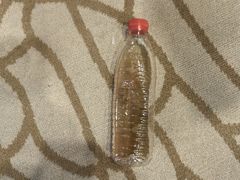 -天津水游城丽筠酒店