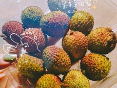 -叶氏兄弟(大连奥特莱斯店)