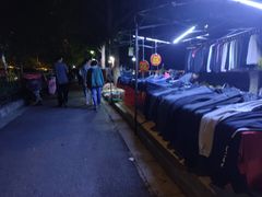 -南湖公园地摊集市