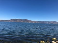 -乡绅本色白家厨坊