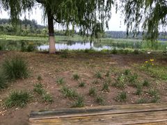 -东郊湿地公园