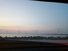 -南大港湿地风景区