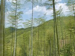 -山沟沟景区