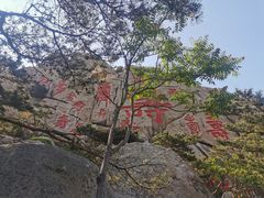 -崂山仰口游览区