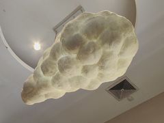 -龙泉人椰子鸡·糟粕醋·地标海南菜(龙昆南店)