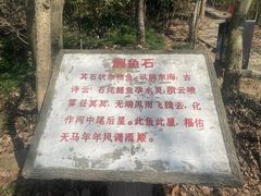 -上海佘山国家森林公园天马山园