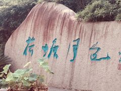 -荷塘月色湿地公园·向阳花洲