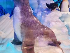 -海合安成都极地海洋公园