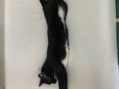 -小时光咖啡馆(北锣鼓巷店)
