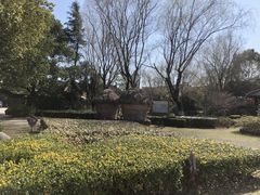 -金山农民画村-枫泾波兰倒置屋