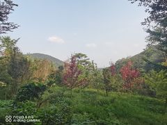 -老山国家森林公园