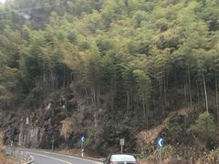 -江南天池
