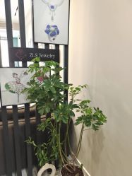 -ZLS珠宝定制(万达茂·中心E座店)