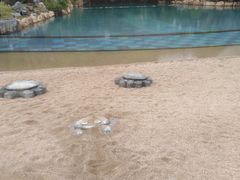 -天芳悦潭度假村温泉