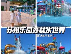 -苏州乐园森林水世界