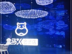 -盒马X会员店(上海森兰商都店)