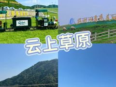 -阿露佳·舌尖上的安吉菜