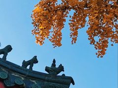-千佛山风景名胜区