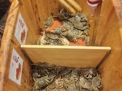 -初色海鲜自助(万丰路店)