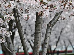 -龙美术馆(西岸馆)