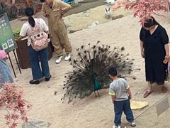 -龙湖南京江北天街