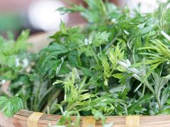 艾草-广州中心皇冠假日酒店·百粤楼