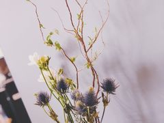 -Seesaw Coffee(上海国金中心店)