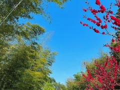 -杭州半山国家森林公园