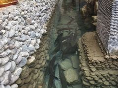 -九寨沟天源豪生度假酒店-豪庭轩中餐厅