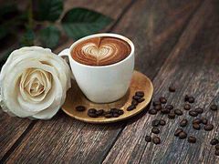 -星巴克(合肥百盛逍遥广场店)