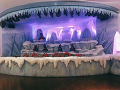 -帝企鹅自助餐厅•儿童岛•真企鹅(长隆企鹅酒店)