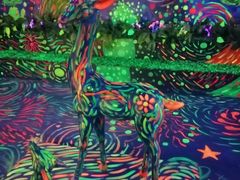 -梦幻巴比松星空体验馆