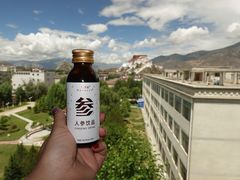 -平措康桑·和牛自助观景餐厅(布达拉宫店)