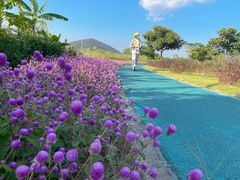 -芒洲湿地公园