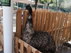 -海合安武汉极地海洋公园