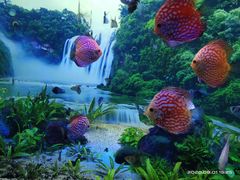 -多彩贵州城极地海洋世界